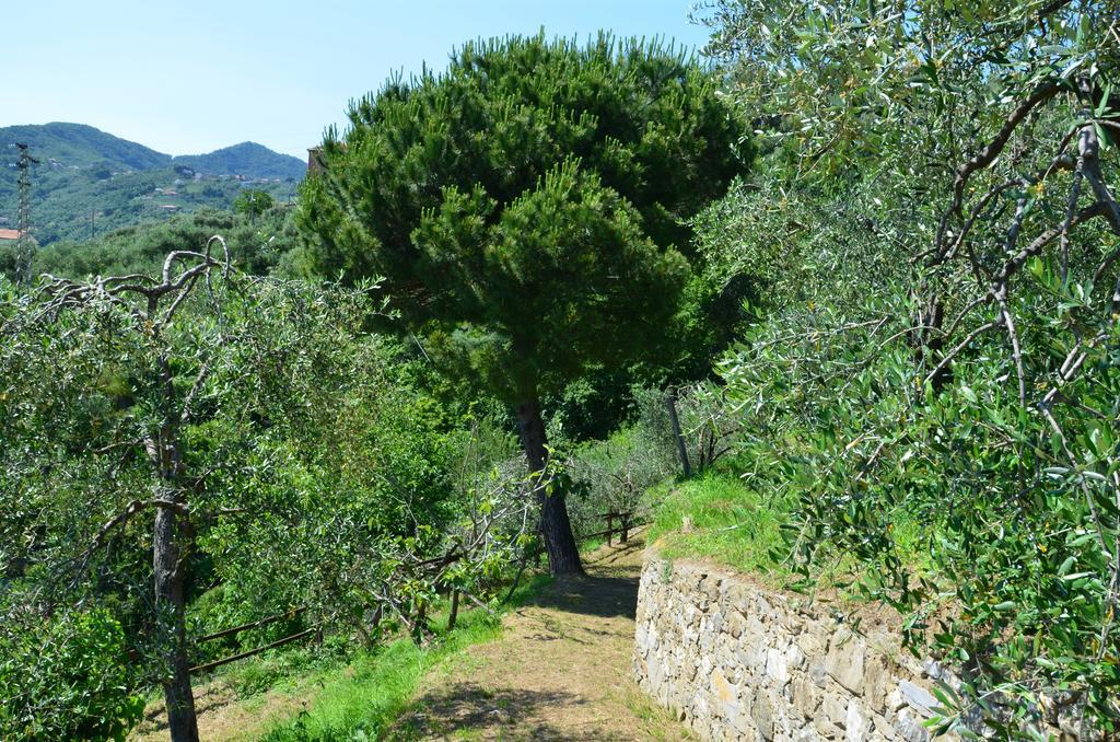 Villa Delle Rose Chiavari Dış mekan fotoğraf